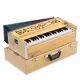 AMRIT Brand Folding Harmonium Natural Color with Padded Bag